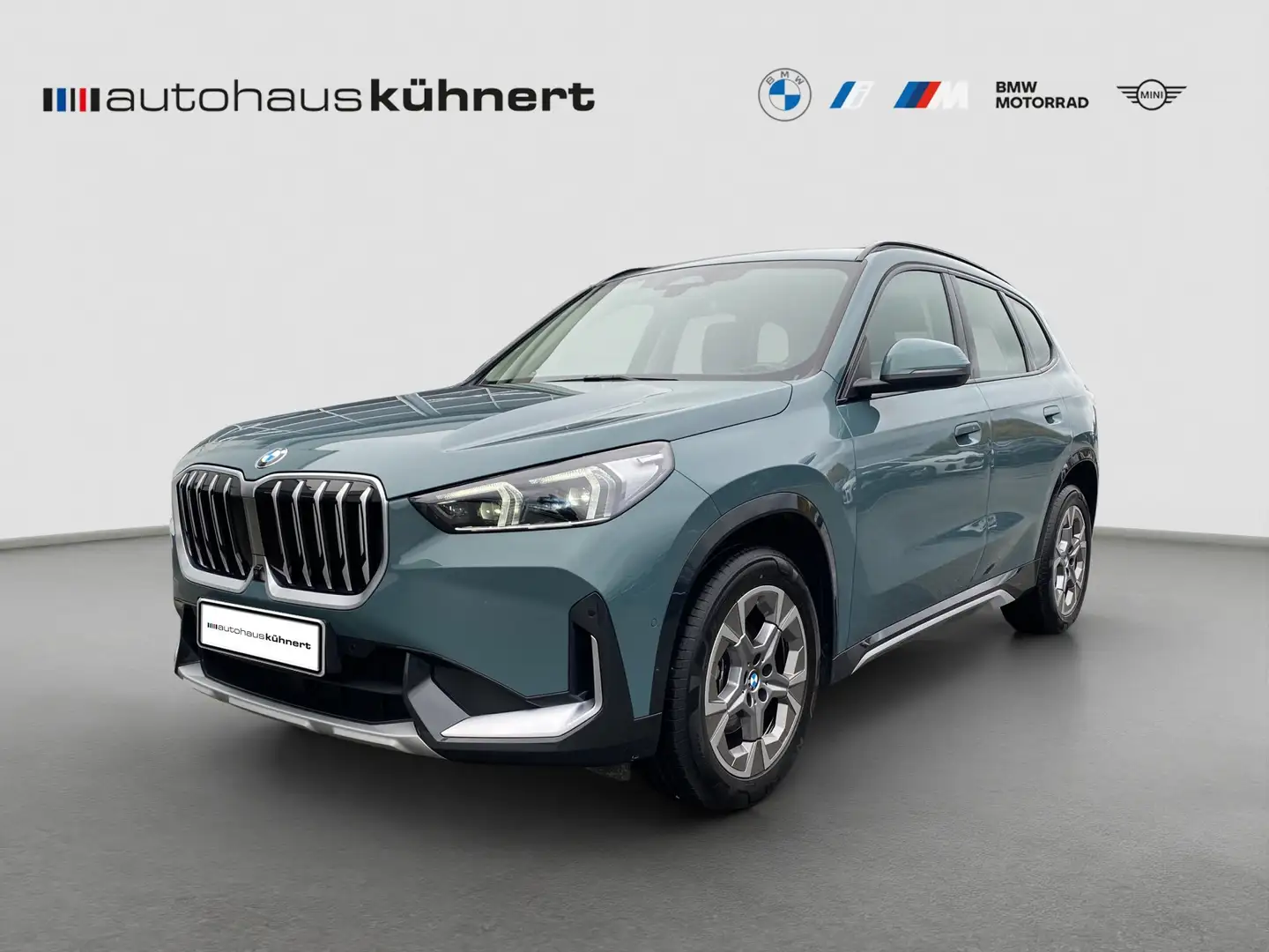BMW X1 xDrive20d xLine xLine ACC SpurAss 360° AHK HUD HiF Verde - 2