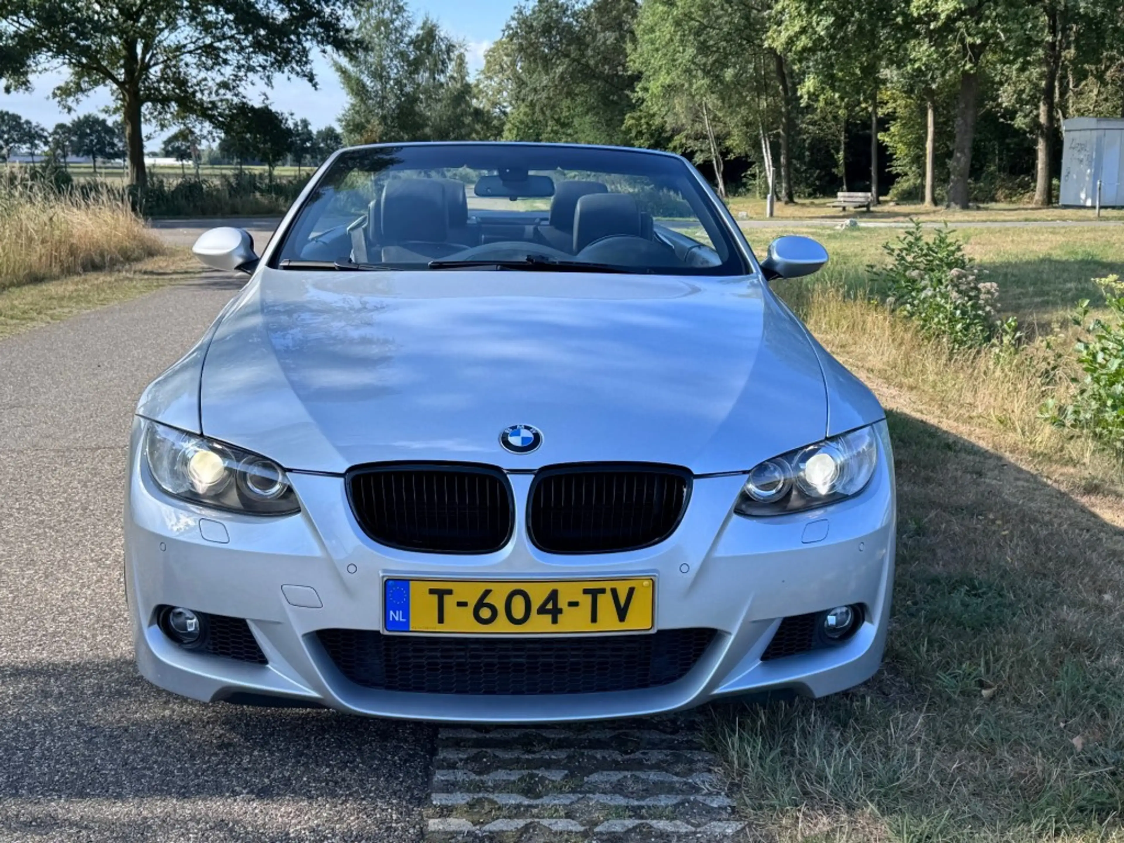 BMW 335 335 I CABRIO / MPACK / LEDER / LED / 19 INCH — photo 27