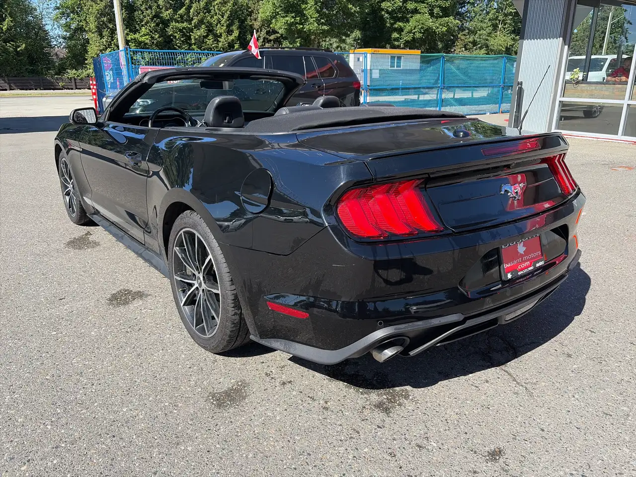 Ford Mustang fotografie Ford Mustang