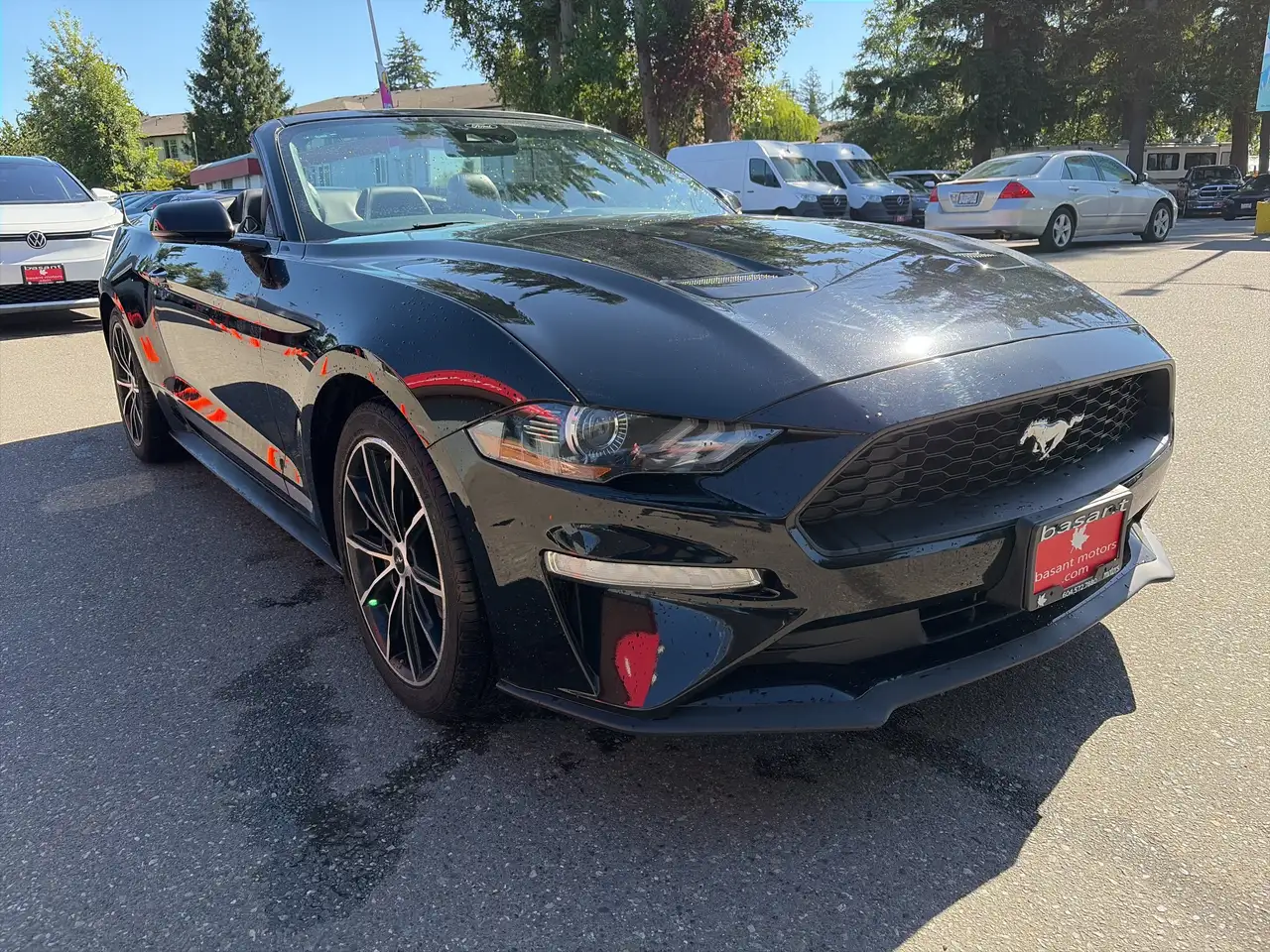 Ford Mustang fotografie Ford Mustang