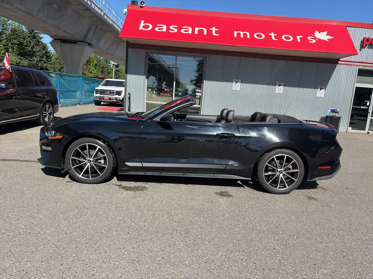 Ford Mustang fotografie Ford Mustang