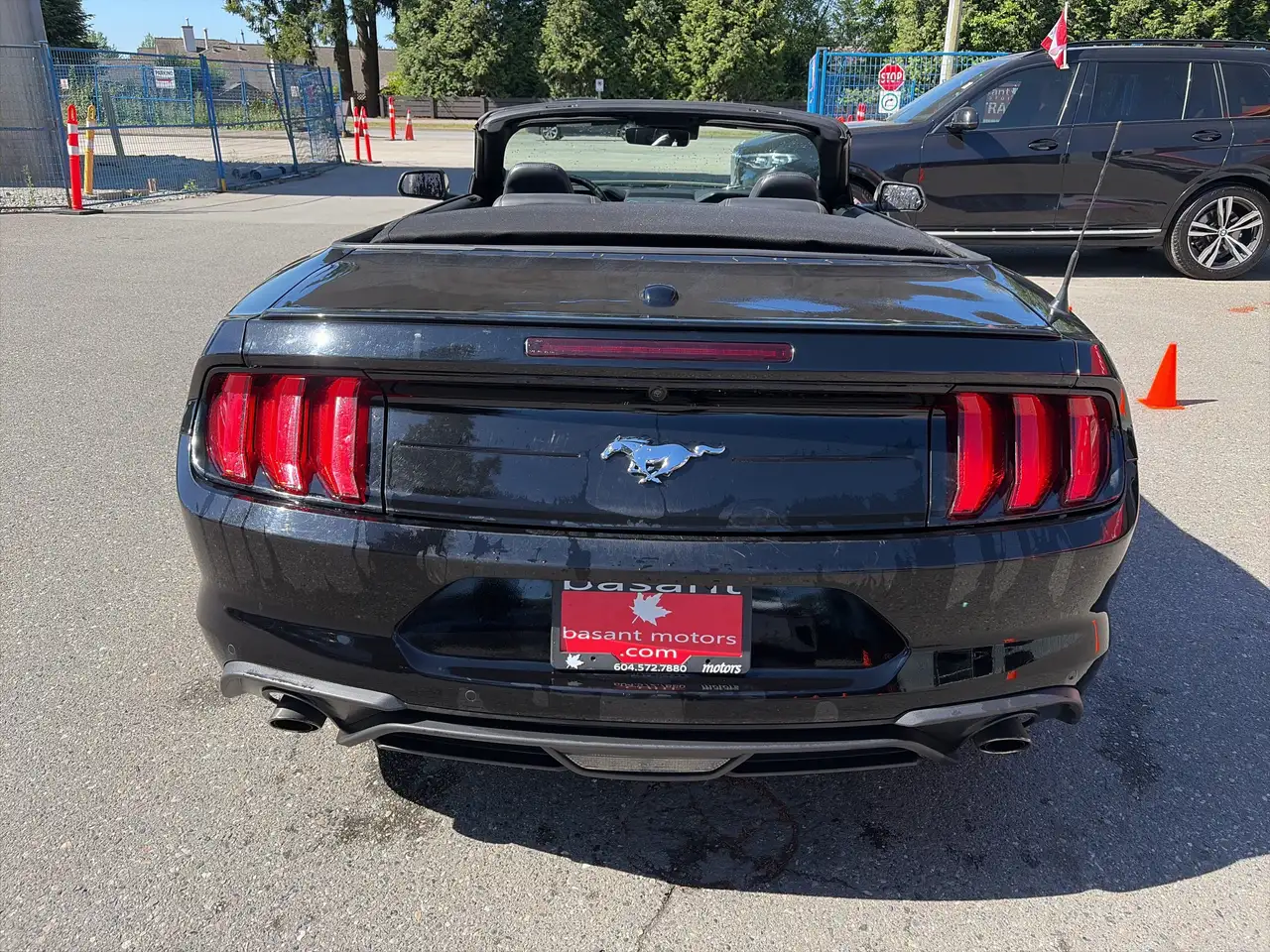 Ford Mustang fotografie Ford Mustang