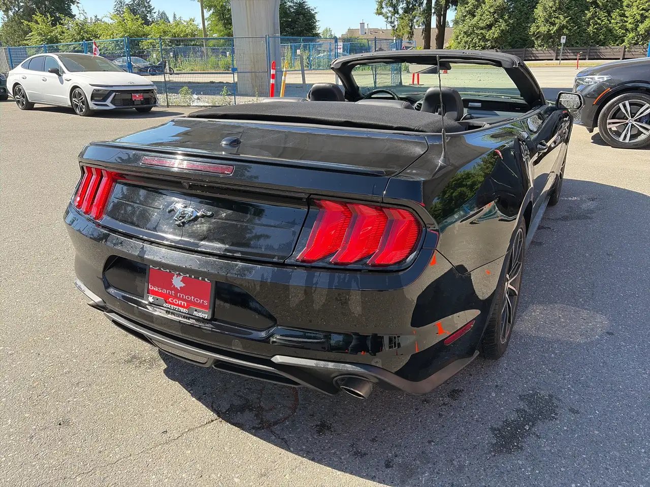 Ford Mustang fotografie Ford Mustang