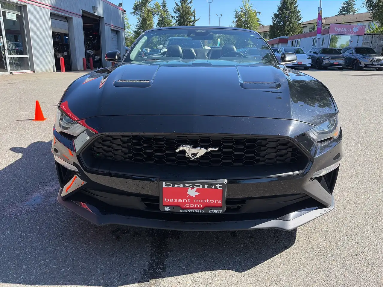 Ford Mustang fotografie Ford Mustang