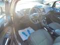Ford C-Max C-MAX Titanium Zahnriemen neu Gris - thumbnail 12