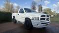 Dodge RAM 1500 Sport 4.7 V8 Regular cab - thumbnail 2