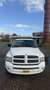 Dodge RAM 1500 Sport 4.7 V8 Regular cab - thumbnail 21
