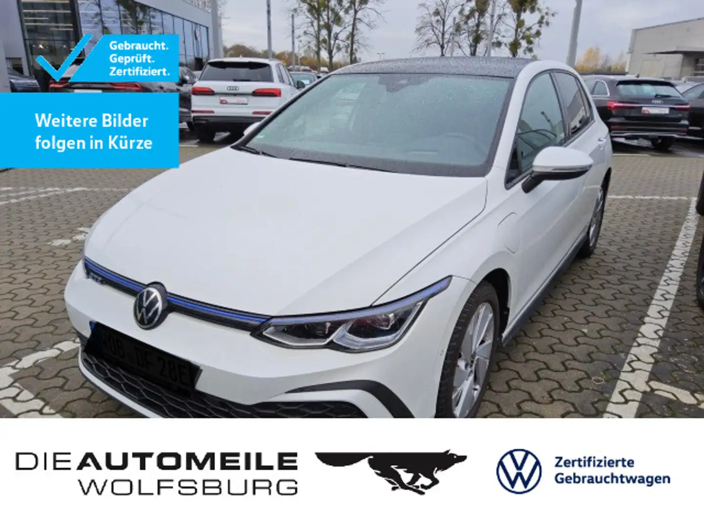 Volkswagen Golf GTE 8 VIII GTE eHybrid DSG GTE Rückfahrkam/Pano Weiß - 1