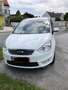 Ford Galaxy Galaxy Business Plus 2,0 TDCi Aut. Business Plus Weiß - thumbnail 2
