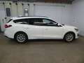 Ford Focus Kombi 1.5 EcoBlue ,LED, Kamera, Sitzheizung Weiß - thumbnail 5