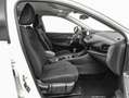 Nissan Qashqai DIG-T 103kW (140CV) mHEV 4x2 Acenta Amarillo - thumbnail 7