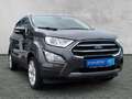 Ford EcoSport Titanium *Navi*PDC*Tempo*RFK*SHZ*LRH* Grau - thumbnail 2