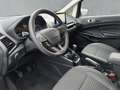 Ford EcoSport Titanium *Navi*PDC*Tempo*RFK*SHZ*LRH* Grau - thumbnail 8