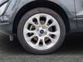 Ford EcoSport Titanium *Navi*PDC*Tempo*RFK*SHZ*LRH* Grau - thumbnail 6