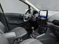 Ford EcoSport Titanium *Navi*PDC*Tempo*RFK*SHZ*LRH* Grau - thumbnail 12
