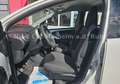 Toyota Aygo AYGO Cool Go/Klima/ TomTom Edition Navi Blanc - thumbnail 12