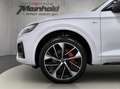 Audi Q5 edition one 50 TDI quattro tiptroni Weiß - thumbnail 6