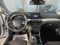 Ford Focus 1.5 EcoBlue 120 CV automatico SW Business Co-Pilot Bianco - thumbnail 8