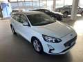 Ford Focus 1.5 EcoBlue 120 CV automatico SW Business Co-Pilot Bianco - thumbnail 3