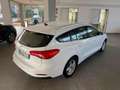 Ford Focus 1.5 EcoBlue 120 CV automatico SW Business Co-Pilot Bianco - thumbnail 5