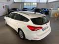 Ford Focus 1.5 EcoBlue 120 CV automatico SW Business Co-Pilot Bianco - thumbnail 6