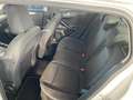 Ford Focus 1.5 EcoBlue 120 CV automatico SW Business Co-Pilot Bianco - thumbnail 14