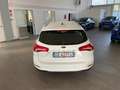 Ford Focus 1.5 EcoBlue 120 CV automatico SW Business Co-Pilot Bianco - thumbnail 4