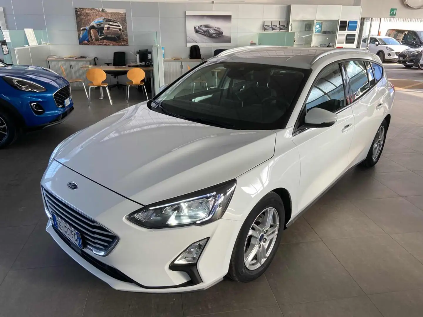 Ford Focus 1.5 EcoBlue 120 CV automatico SW Business Co-Pilot Bianco - 1