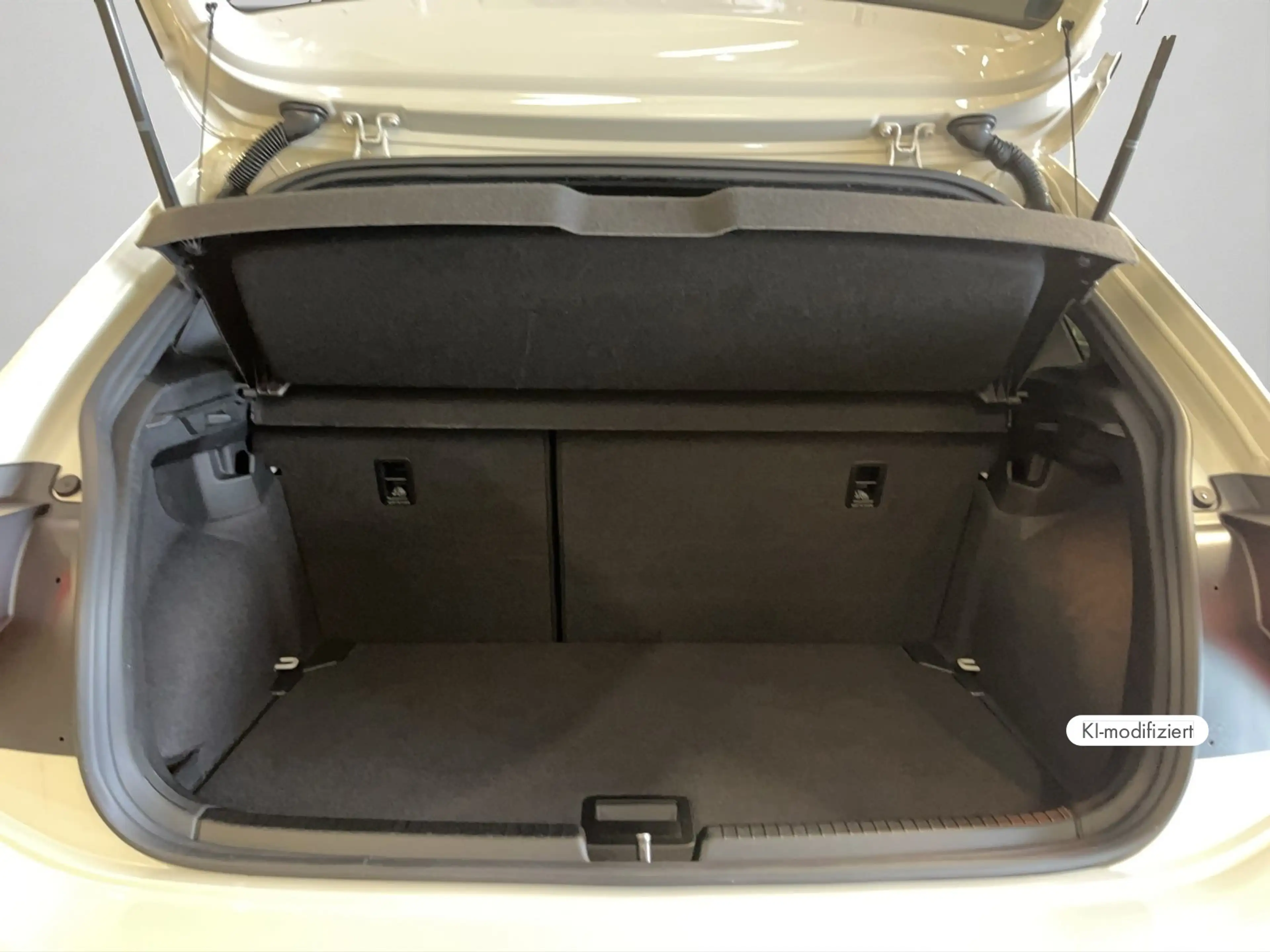 Volkswagen Polo GTI 2.0 TSI DSG — photo 15