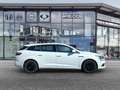 Renault Megane IV Life TCe 115 1.3 Grandtour °Klima°Temp Blanc - thumbnail 20