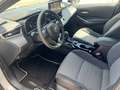 Toyota Corolla 1,8 Hybrid TS Teamplayer ACC SHZ Technik 1,99% Gris - thumbnail 9