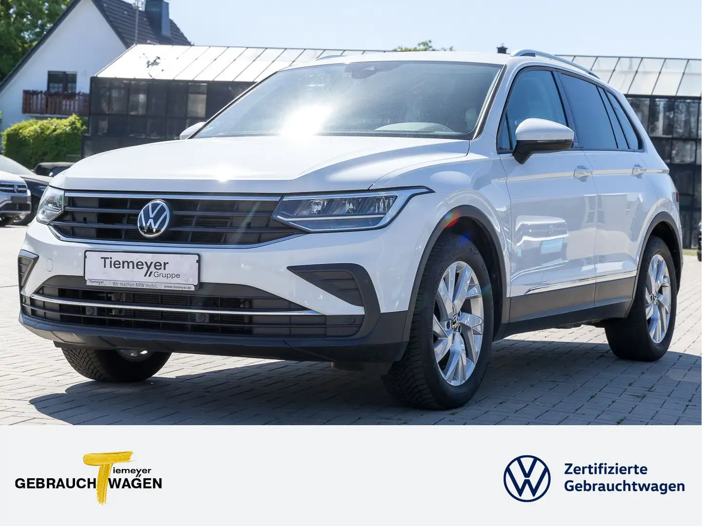 Volkswagen Tiguan 1.5 TSI ACTIVE KAMERA LM18 NAVI eKLAPPE Weiß - 1