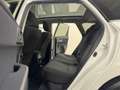 Toyota Auris Touring Sports 1.8 Hybrid Lease Pano Cruise Camera Weiß - thumbnail 19