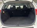 Toyota Auris Touring Sports 1.8 Hybrid Lease Pano Cruise Camera Weiß - thumbnail 21
