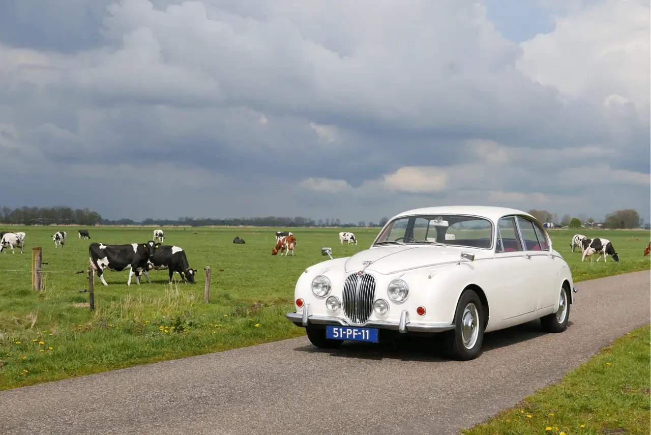 Jaguar 240 Overdrive, foto 4