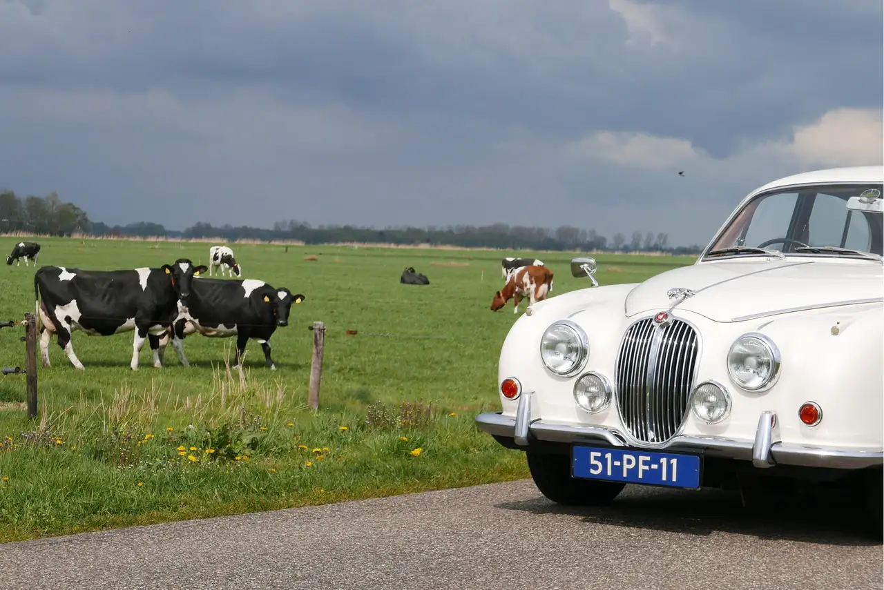 Jaguar 240 Overdrive, foto 8