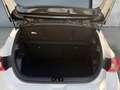 Hyundai i20 (BC3) Comfort Line 1.0 T-GDI b7bc1-PP5/P8-OO2 Weiß - thumbnail 19
