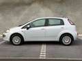 Fiat Punto Punto 5p 1.2 Dynamic Grigio - thumbnail 4