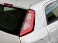 Fiat Punto Punto 5p 1.2 Dynamic Grigio - thumbnail 9