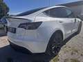 Tesla Model Y Performance Dual AWD Weiß - thumbnail 4