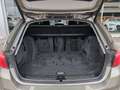 BMW 320 d 190cv xDrive Bus. Advantage auto Fari LED Oro - thumbnail 46