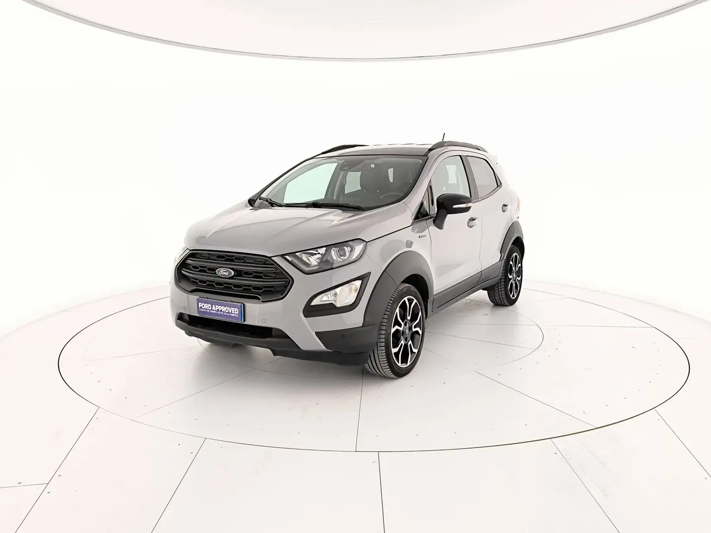 Ford EcoSport 1.0 ecoboost active s&s 125cv Grigio - 1