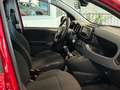 Fiat Panda Panda 1.0 firefly hybrid Cross ''PROMOZIONE'' Rosso - thumbnail 9