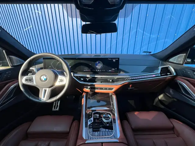 BMW X6 view 11