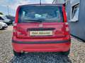 Fiat Panda 1.2 8V Dynamic 8fach bereift TÜV06/2026 Red - thumbnail 5