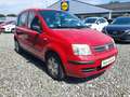 Fiat Panda 1.2 8V Dynamic 8fach bereift TÜV06/2026 Red - thumbnail 3