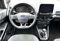 Ford EcoSport ST-Line Navi, Alcantara/Leder, Kamera Grey - thumbnail 3