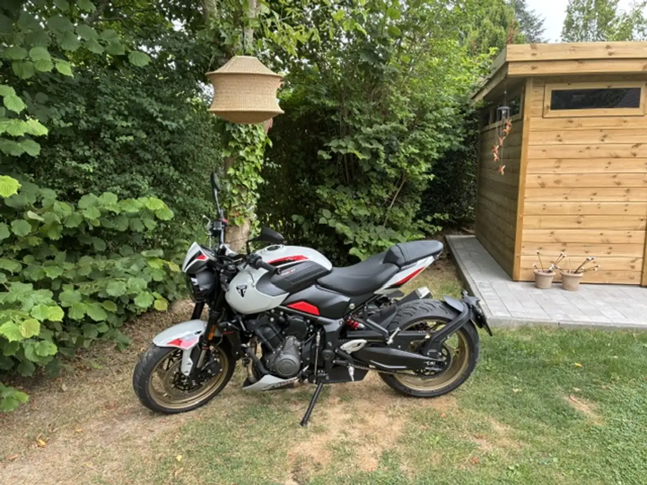 Triumph Trident 800