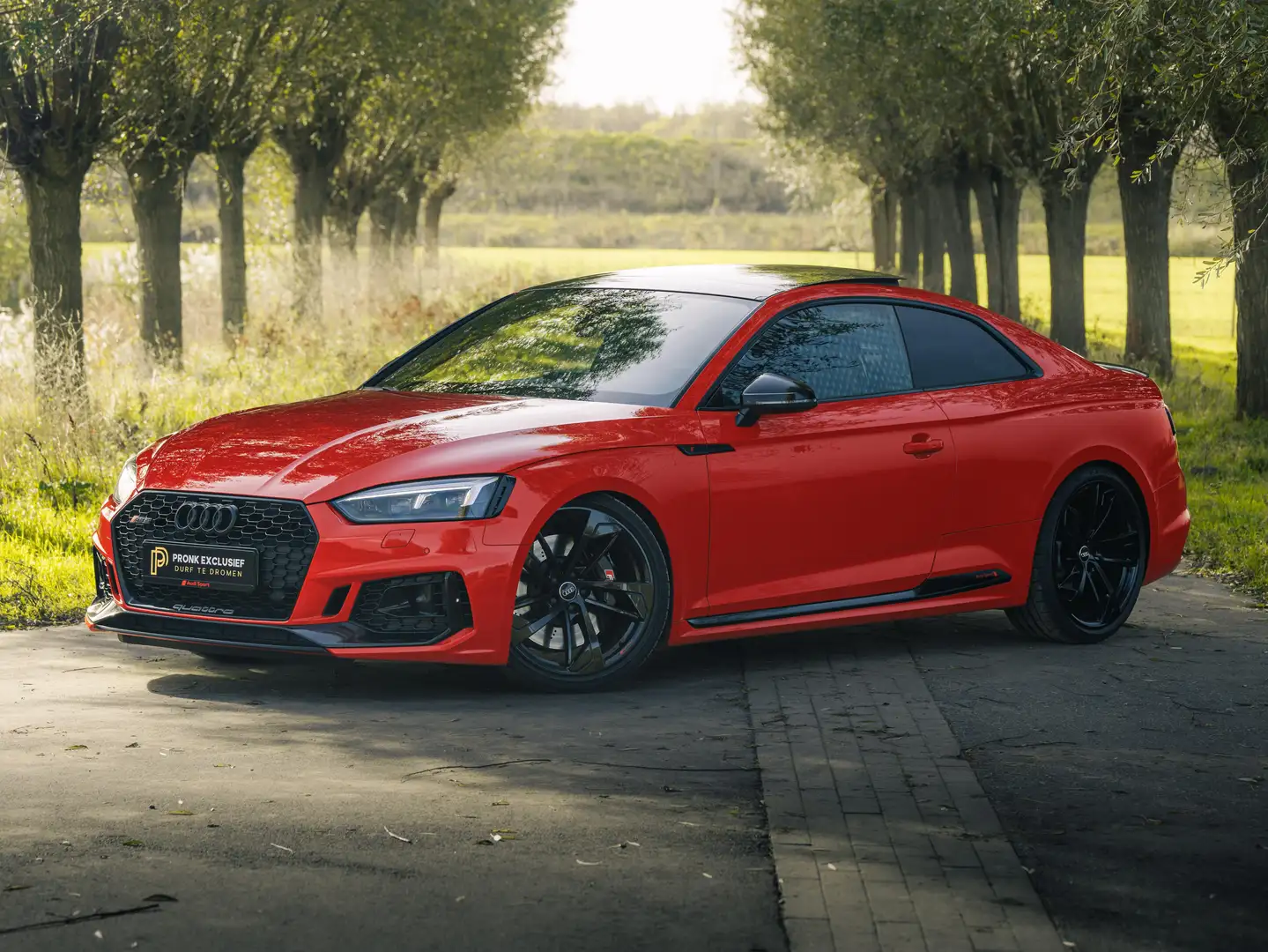 Audi RS5 2.9 TFSI RS 5 QUATTRO COUPE EIBACH PANO Rood - 2