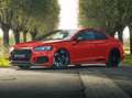 Audi RS5 2.9 TFSI RS 5 QUATTRO COUPE EIBACH PANO Rood - thumbnail 11